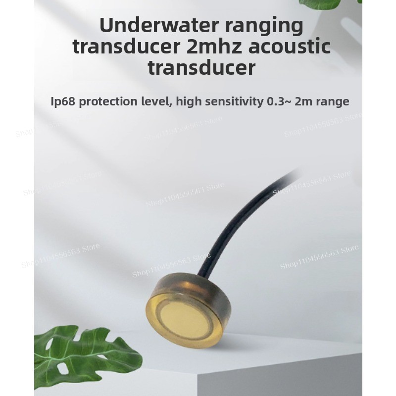 Ultrasonic Distance Sensor - DYW-LS-03A 2MHz ตัวแปลงสัญญาณอัลตราโซนิกใต้น้ำสำหรับวัดระยะทาง - เซ็นเซอร์วัดระยะทางด้วยคลื่นเสียงใต้น้ำ