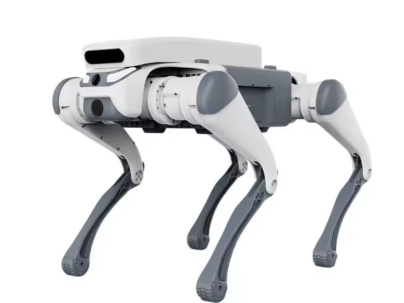 ของเล่นหุ่นยนต์สุนัขบังคับวิทย - Robot Remote Control บทวิจารณ์และราคา