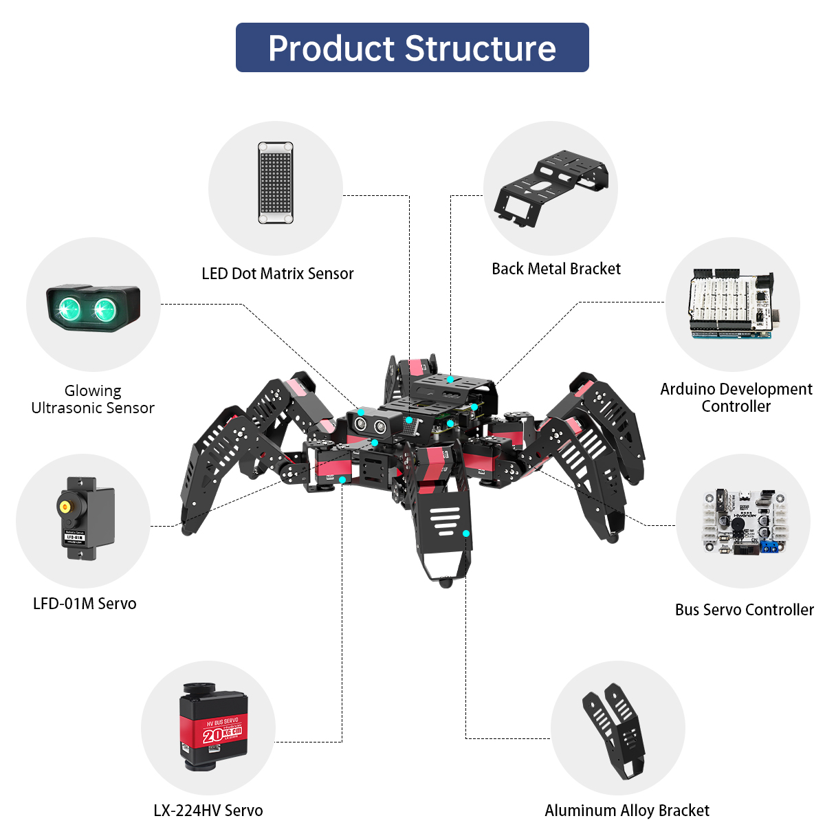 หุ่นยนต์แมงมุม Hiwonder Spider - Robotics Kit บทวิจารณ์และราคา